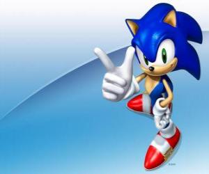 yapboz Kirpi Sonic, Sonic video oyunu serisi ana kahramanı